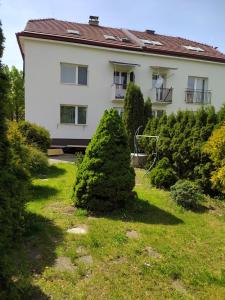 Zahrada ubytování apartmán Filloména