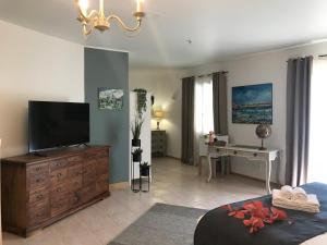 salon z telewizorem na drewnianej komodzie w obiekcie Les Mas du Peintre w mieście Sarlat-la-Canéda
