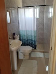 een badkamer met een toilet, een wastafel en een douche bij The View Apartment in Willemstad