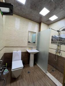a bathroom with a toilet and a sink and a shower at Lovely flat near the Boulevard Center of Baku in Baku +35 photos