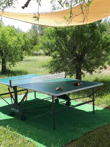 Stolný tenis v ubytovaní El Establo alebo v jeho okolí