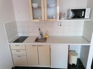 Kuchyň nebo kuchyňský kout v ubytování Apartments Dinko