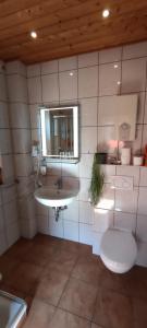 a bathroom with a sink and a toilet and a mirror at FEWO Borchert in Cuxhaven