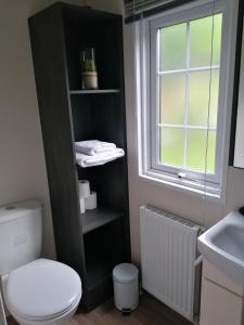 a black shelf in a bathroom with a toilet and a window at No1 Borwick Lakes in Carnforth