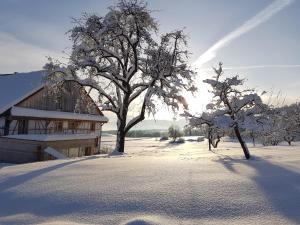 Historisches Doppel - Riegelbauernhaus during the winter