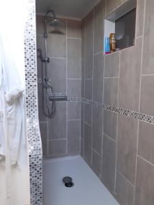 a bathroom with a shower with a toilet and a sink at Locarn Lodge, Goas Rep in Locarn