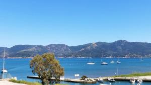 une vue d'un port avec des bateaux dans l'eau dans l'établissement Fronte Mare Suites - ArgonautiVacanze, à Portoferraio