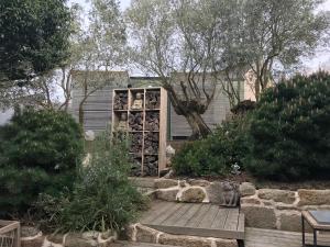un chat assis sur un chemin en bois dans un jardin dans l'établissement les suites de bach, à Ploemeur