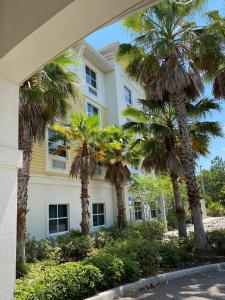 a building with palm trees in front of it at Palm Coast Hotel & Suites-I-95 in Palm Coast
