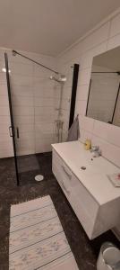 Varjjatgeainu Apartment Nesseby tesisinde bir banyo