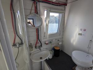 a bathroom with a toilet and a sink and a mirror at Gemütliches Hausboot mit Kamin in Berlin in Berlin