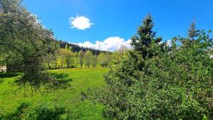 Paesaggio naturale nelle vicinanze della casa vacanze