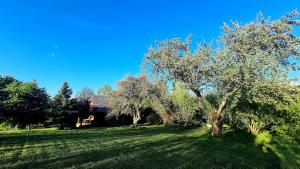Paesaggio naturale nelle vicinanze della casa vacanze