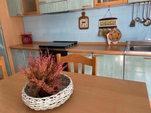 アグローポリにあるLe Cycasのキッチン(鉢植えのテーブル付)