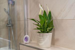 Kúpeľňa v ubytovaní Apartmani Kralj