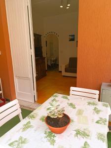 a table with a plant in a bowl on it at Classic Monterossino Apartment in Old Town in Monterosso al Mare