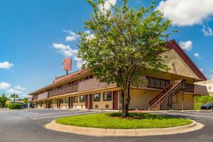 a building with a tree in front of it at Red Roof Inn Columbia East - Ft Jackson in Columbia