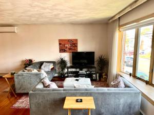 a living room with a gray couch and a tv at Cheerful, sun-kissed room with workstation in Revere