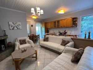 a living room with two couches and a kitchen at Gazena House in Sívros +17 photos