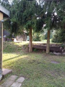 a bench between two trees in a yard at Domek Letniskowy in Gołdap