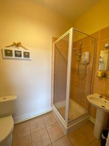 a bathroom with a shower and a toilet and a sink at Buckingham Lodge Guest House in Torquay