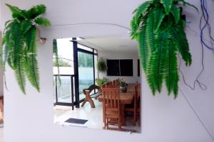 a dining room with a table and some green plants at HOTEL CAPITAL PALMAS in Palmas