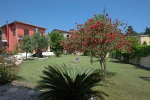 Zahrada ubytování Ilias Apartments