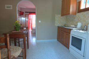 Kuchyň nebo kuchyňský kout v ubytování Ilias Apartments