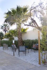 a group of chairs and a palm tree next to a sidewalk at MrBrown - Cinzia Resort Beach in Mazara del Vallo