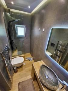 bagno con lavandino, servizi igienici e specchio di ''Stergiou Luxury Apartment 2nd Floor'' με κοινη πισινα a Saronida