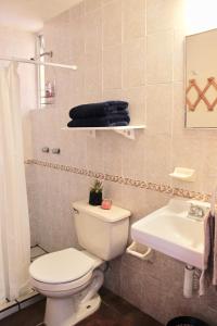 een badkamer met een wit toilet en een wastafel bij Colorful family condo with terrace and free parking in Guanajuato