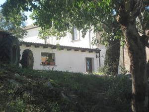 Zahrada ubytování B&B Vaiana