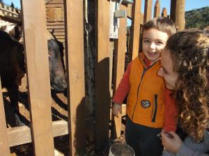 Hostia v ubytovaní Alojamiento Rural Las Maravillas