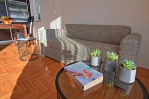 uma sala de estar com um sofá e uma mesa com um livro em Studio Apartman LUKA em Senj