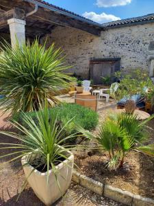 a garden with potted plants in front of a building at La charentaise ch d'hôtes ,Studio in Chérac