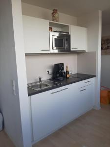 a kitchen with a sink and a microwave at Appartement mit Penthaus Charakter in Fürth