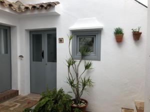 Una casa blanca con plantas a un lado. en Apartamentos Casa la Costanilla en Vejer de la Frontera