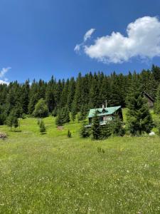 a house in a field of grass with trees at MAGIC MOUNTAIN in Žabljak