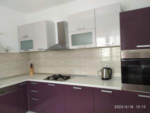 Kuchyňa alebo kuchynka v ubytovaní Apartments and room Suza
