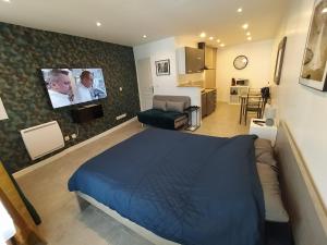 een slaapkamer met een bed en een tv aan de muur bij Studio Autonome Cosy à Paris CDG in Vaudherland