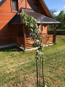 Giardino di Apartmani Milekić