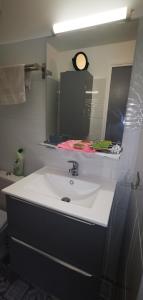 ein Badezimmer mit einem weißen Waschbecken und einem Spiegel in der Unterkunft Les pieds dans l'eau sur l'Ile du Frioul in Marseille