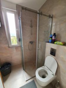 Un baño de Apartman Staza Divčibare 16 fotos más