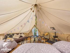 a tent with two beds and a couch in it at Herons Retreat in Llandysul