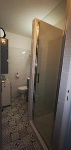 a bathroom with a glass shower with a toilet at Les pieds dans l'eau sur l'Ile du Frioul in Marseille