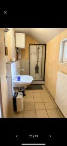 a bathroom with a sink and a glass shower at Apartments Rhona I und II Neunkirchen City in Neunkirchen