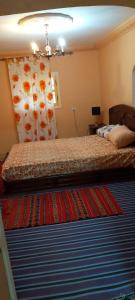 a bedroom with a bed with a rug on the floor at Gîte tizinoubadou in Aït Youguine