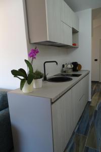 a kitchen with a sink and a counter with a plant on it at Sailor's House Porto Cervo in Porto Cervo