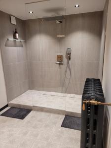een douche met een telefoon in de badkamer bij La Cense du Noir Jambon in Silly