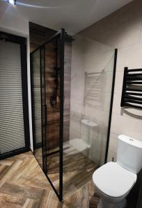 a bathroom with a toilet and a shower at Sunset- Dom zachód słońca Spa in Mołdzie